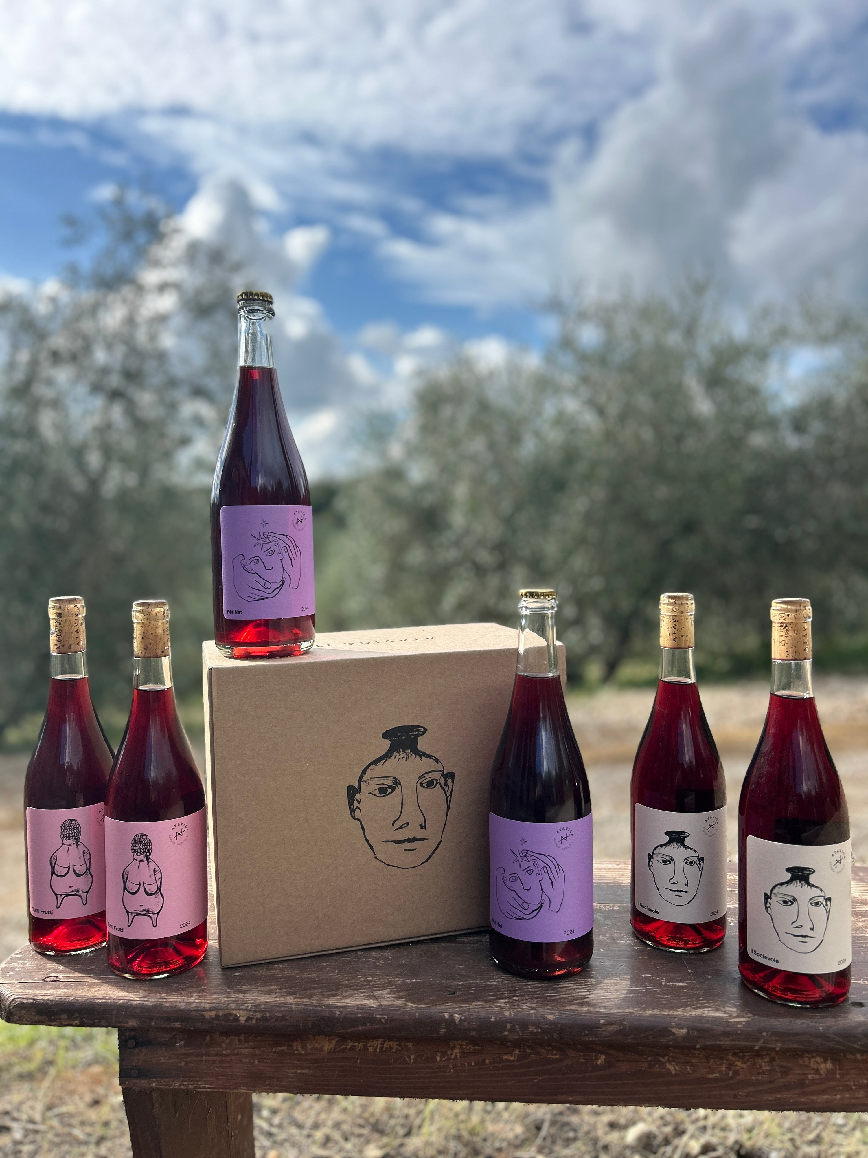 Box of 6: Party Pack