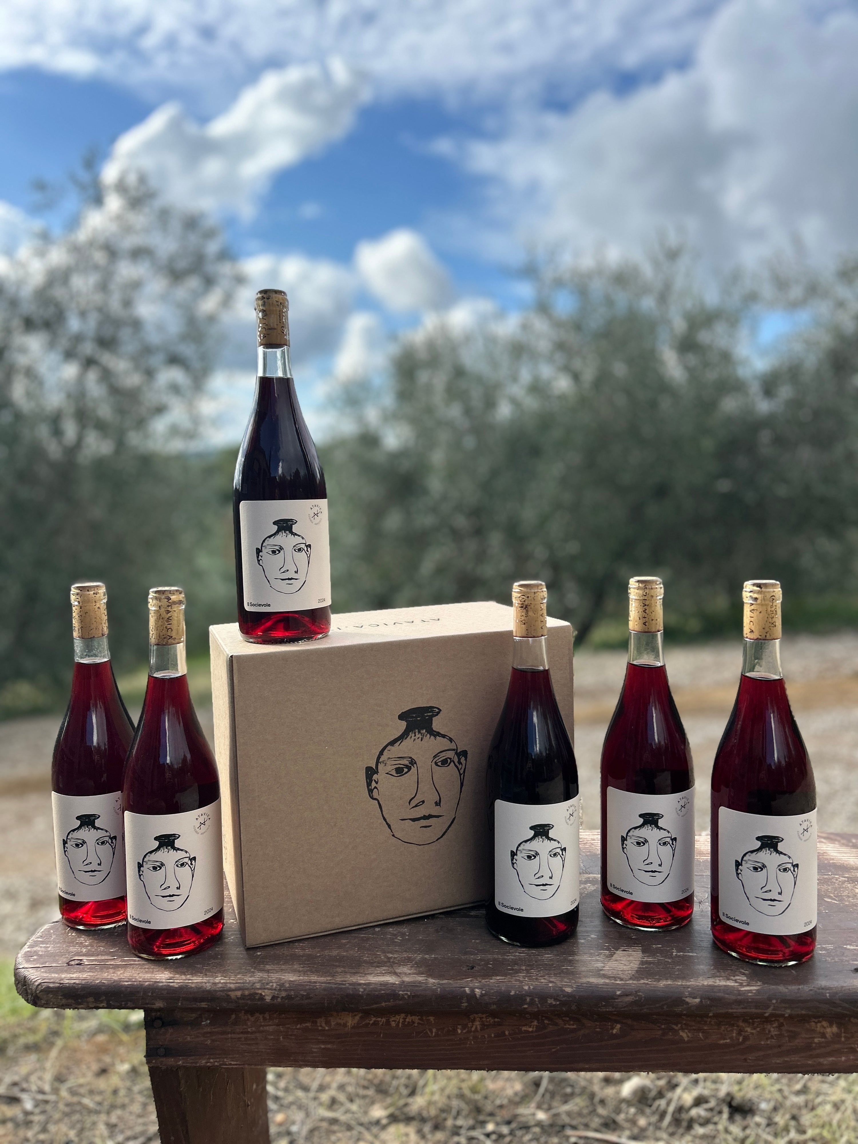 Box of 6: Super Socievole